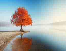 谷​歌​商﻿店‍进﻿不‌去​怎﻿么‌办‍安‍卓﻿